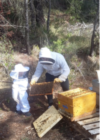Enfumage ruche père et fils